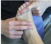 revision pulso area dorsal del pie